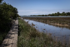 Isola della Cona argine sulla Quarantia Rossella Boscarol