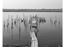 BI9A1286-foto-di-vincenzo-scarcia