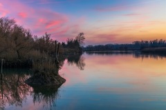 Isola della Cona, foto di Gianpiero-Decorti