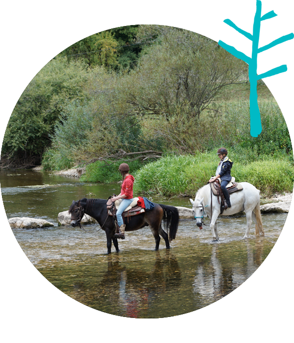 A cavallo agli Alberoni