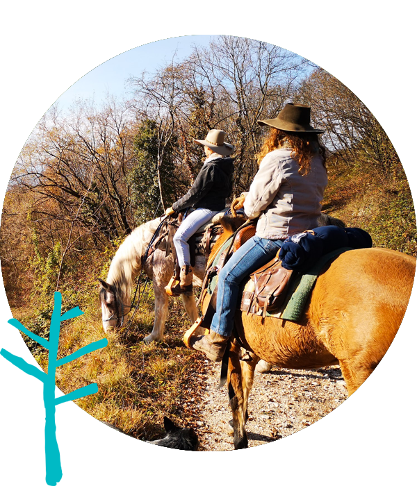 A cavallo a Medeazza