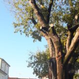 In cammino verso i laghetti di Dobbia da Staranzano - Il Bobolar o Boboler - Foto: Romano Paludgnach